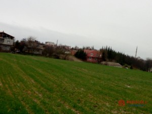 6980ac86_9a88_49df_b156_b745d043f627.jpg